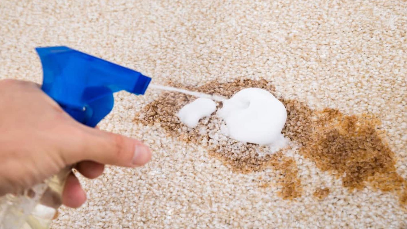 Carpet Stain Removal Highlands Ranch CO