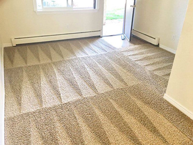 Professional Carpet Cleaning Services Richmond CA