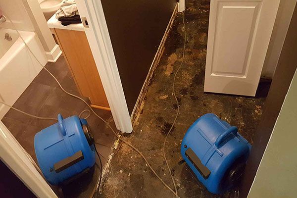 Water Damage Service Richmond CA