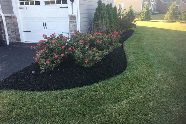 Residential Mulching service Dublin OH