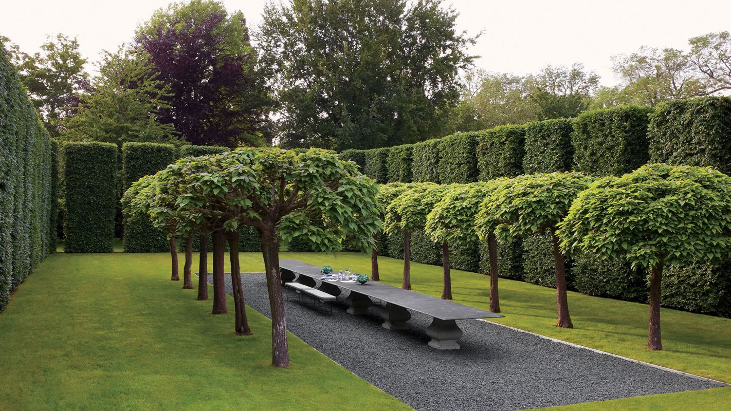 Small Hedge And Tree Services Dublin OH