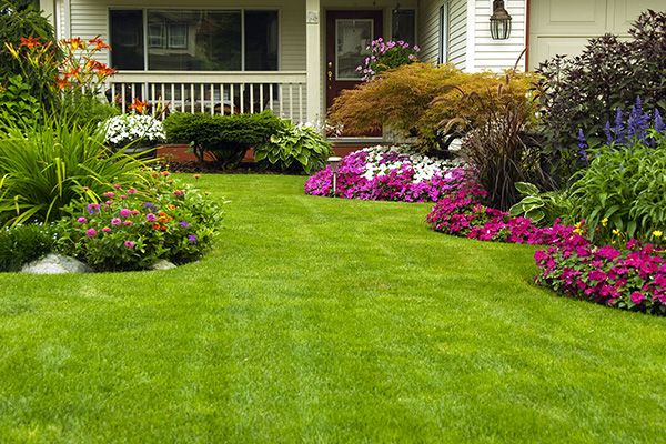Commercial Landscaping Services