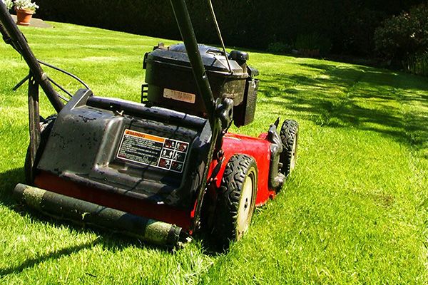 Lawn grass cutting services Plain City OH