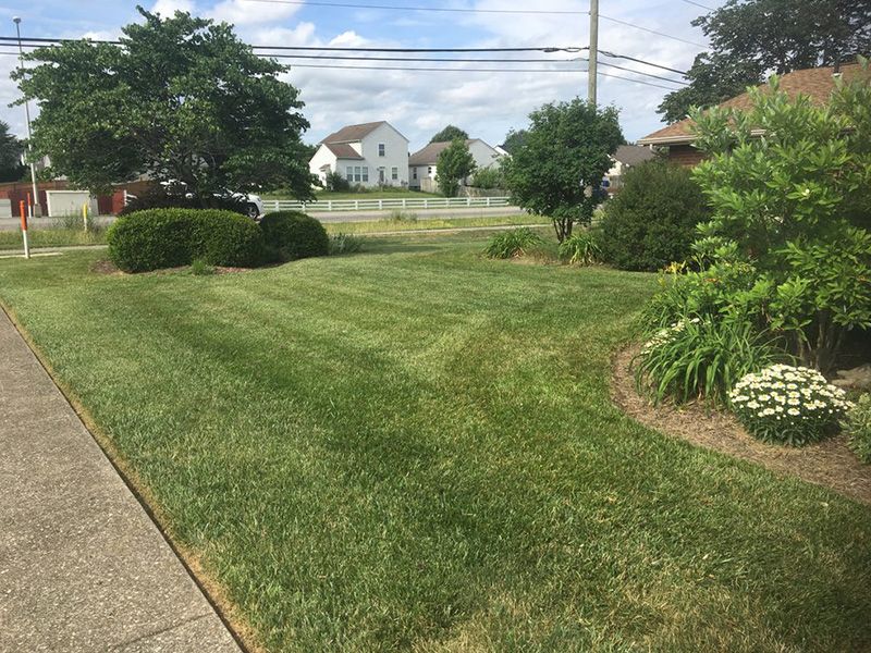 Lawn Maintenance Powell OH