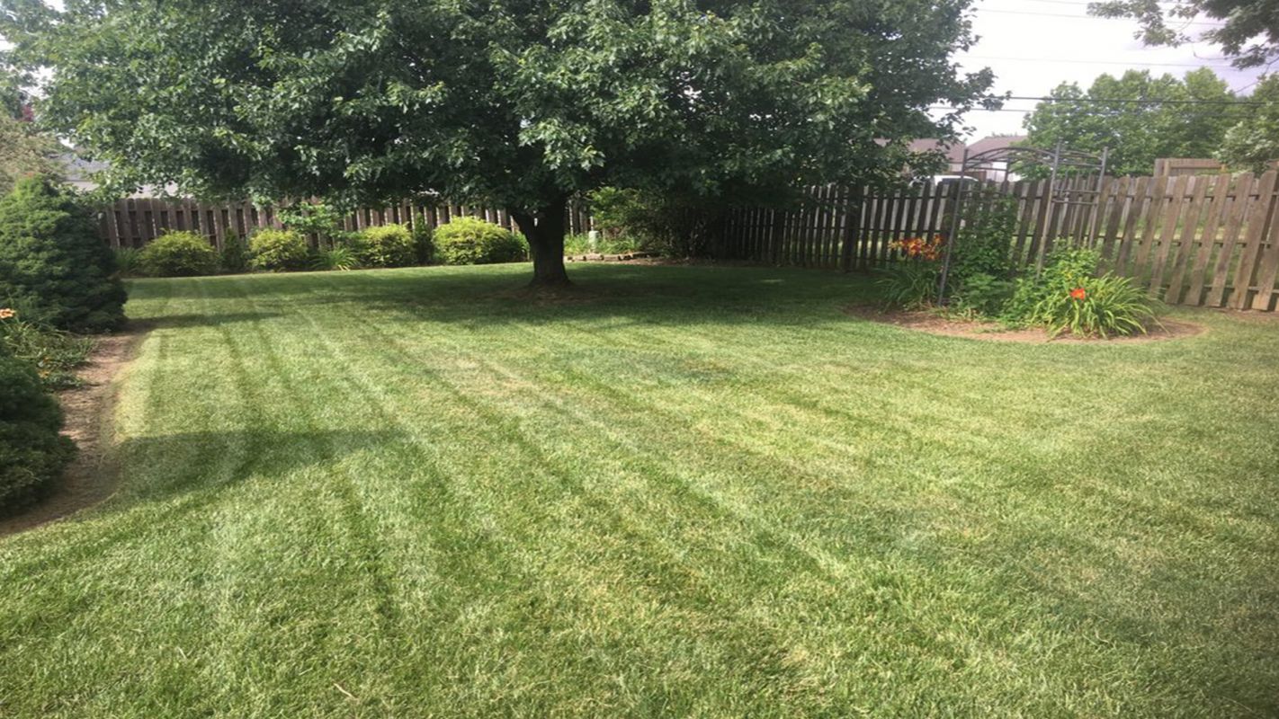 Landscape Services Hilliard OH