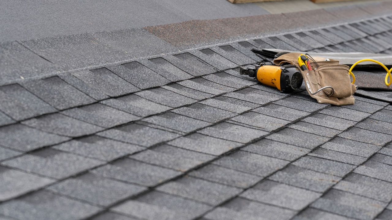 SHINGLE REPAIR & LEA REPAIR