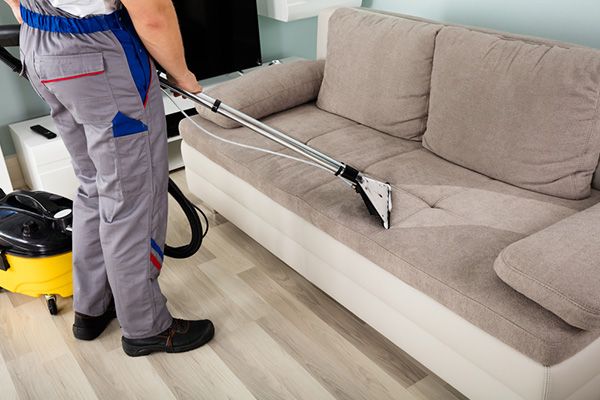 Carpet Stain Removal Services Neptune Beach FL