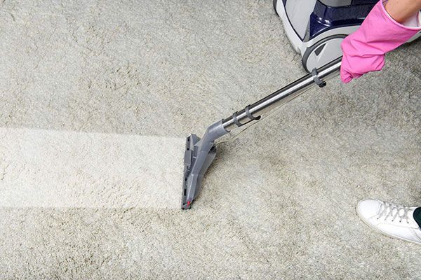 Carpet Stain Removal Services Jacksonville Beach FL