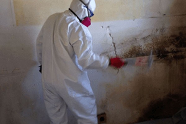 Mold Remediation Decatur GA