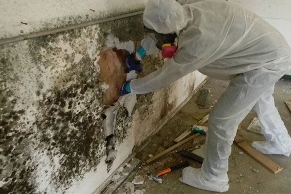 Mold Removal Decatur GA