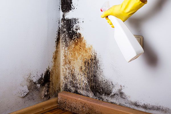 Mold Cleaner services Decatur GA