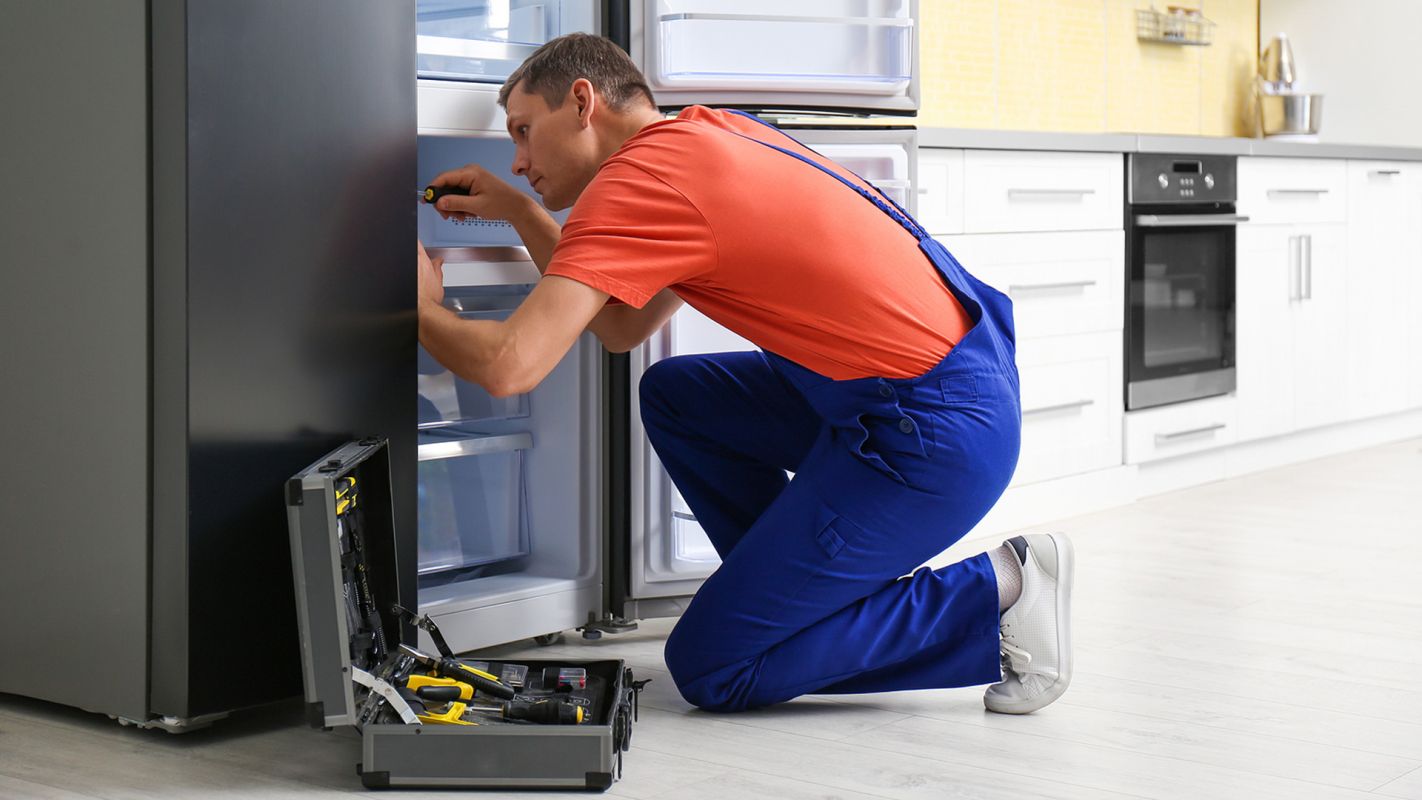 Appliance Repair Services Doctor Phillips FL