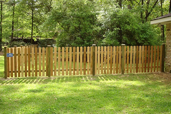 Fence Staining Services