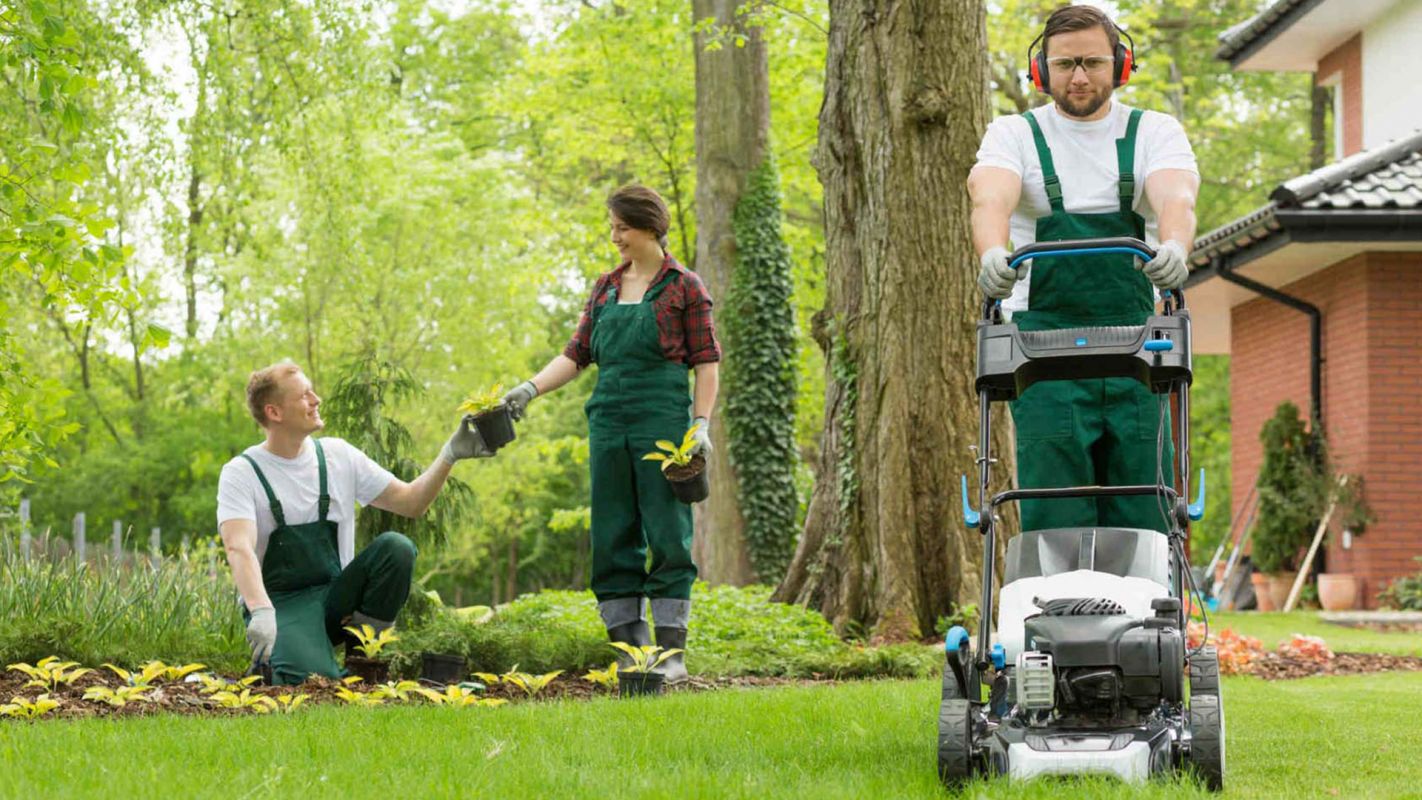 Residential Lawn Care Services Carrollton TX