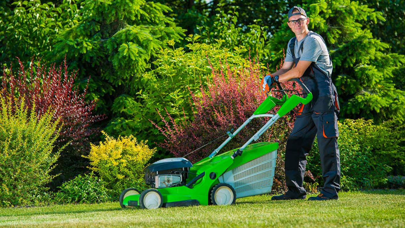 Lawn Care Services Carrollton TX