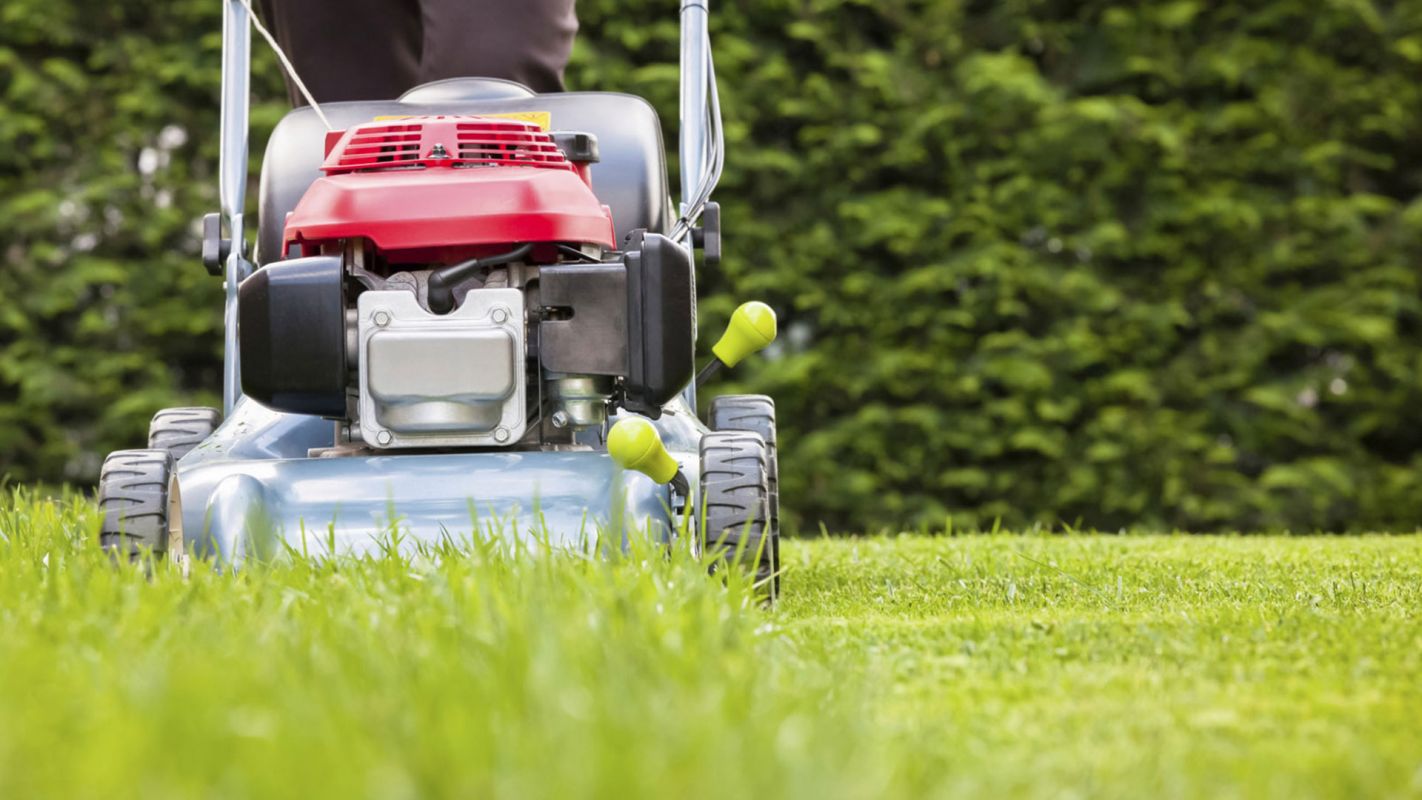 Lawn Grass Cutting Services Plano TX