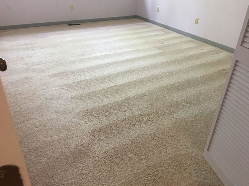 Carpet-cleaning-washington-dc