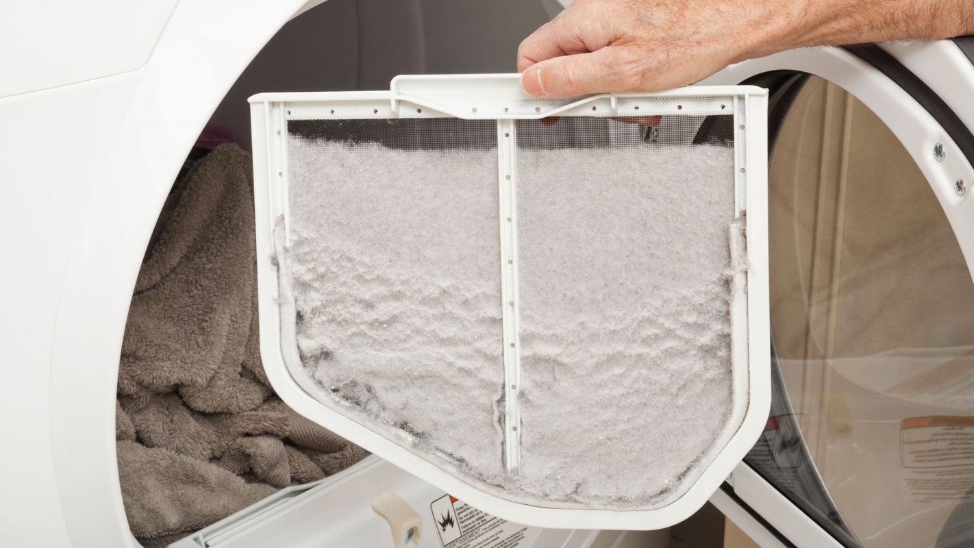 Lint Removal Services Broward County FL