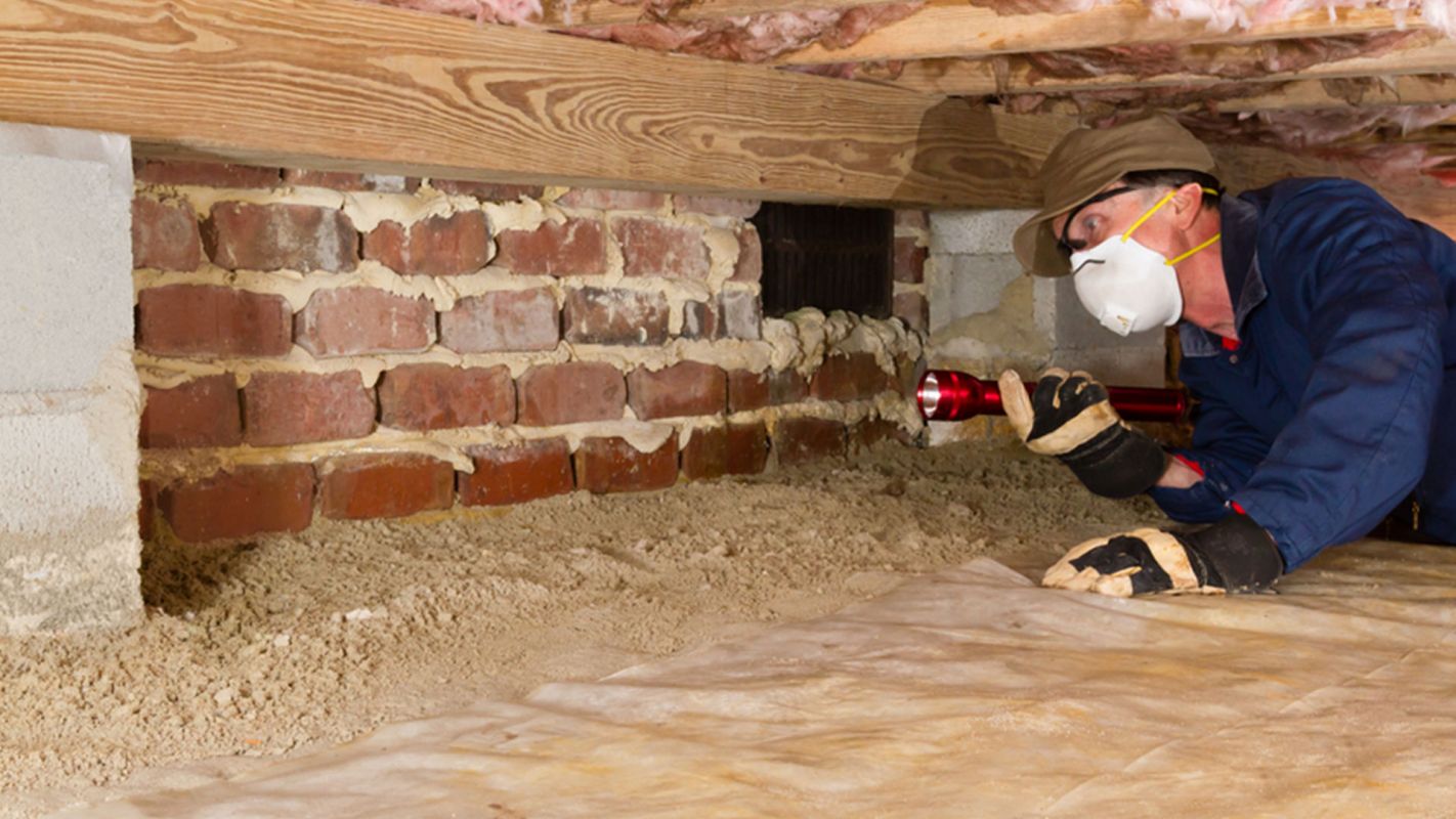Termite Inspection Services Arlington TX
