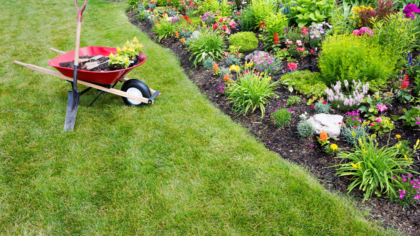 Lawn Clean Up Services National City CA
