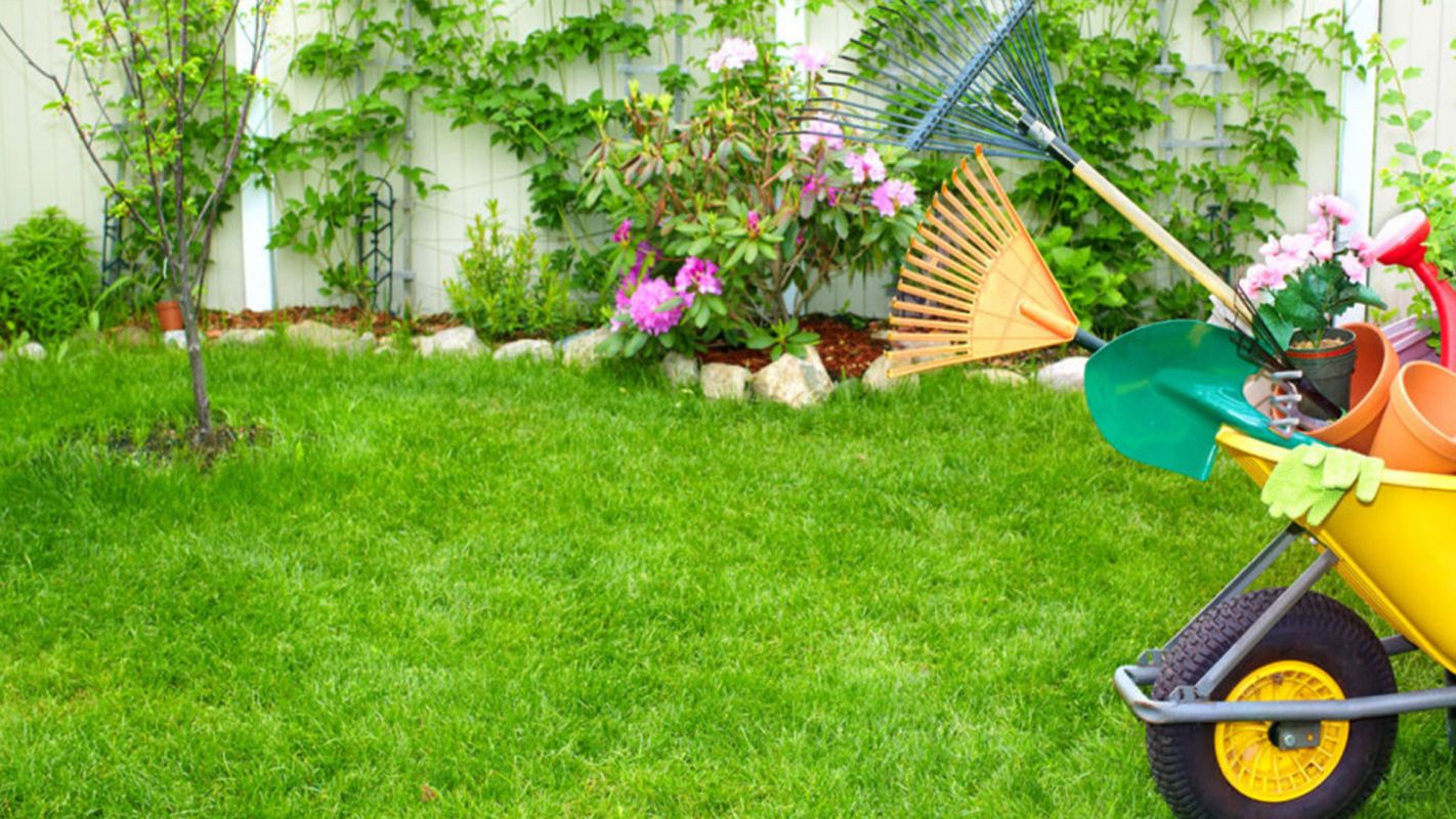 Lawn Care Services National City CA