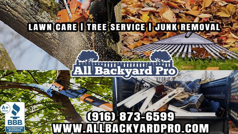 Tree Removal Services Roseville CA