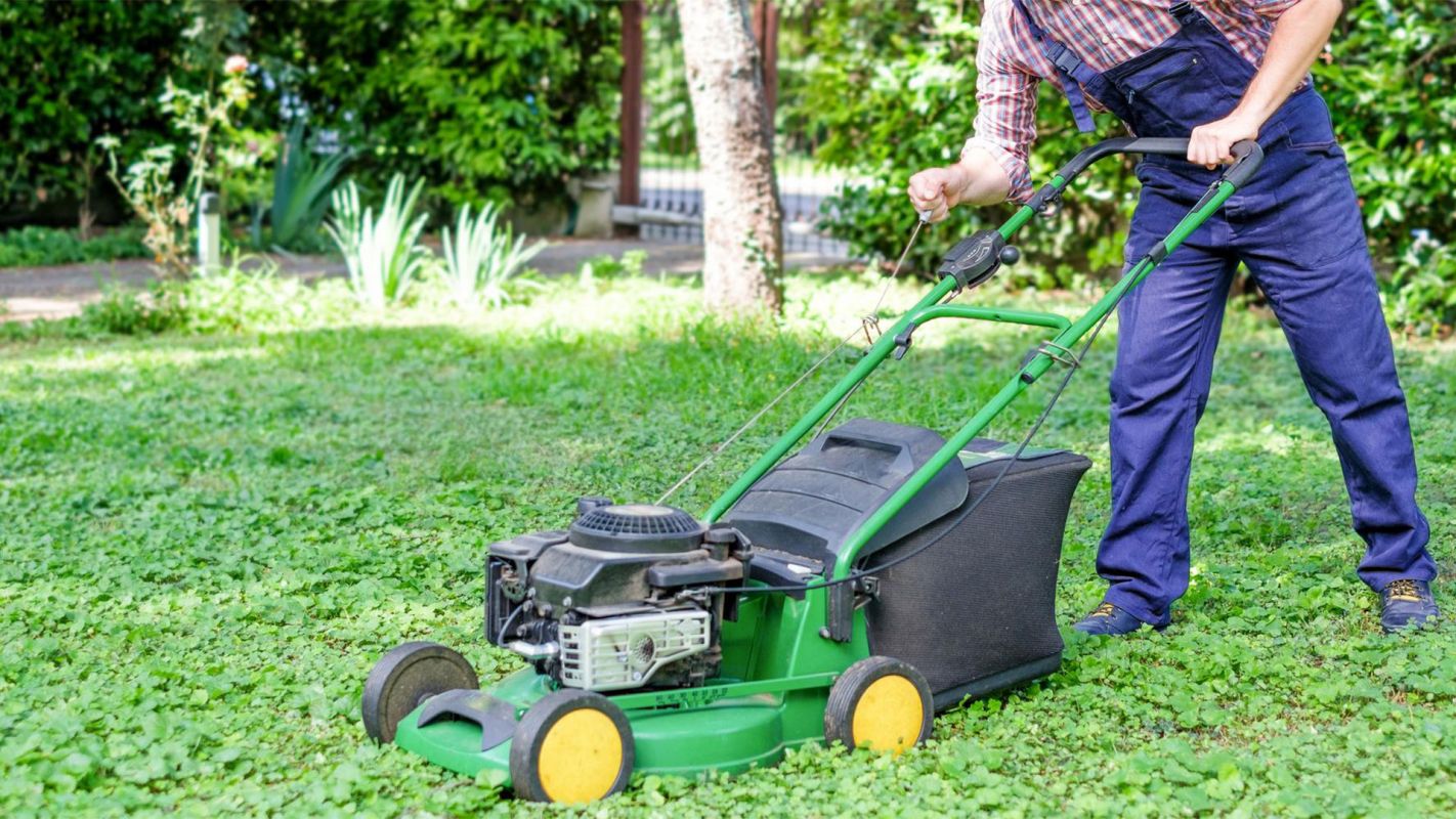 Lawn Maintenance Services Roseville CA