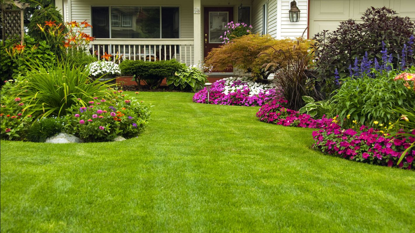 Front Yard Landscaping Services Roseville CA