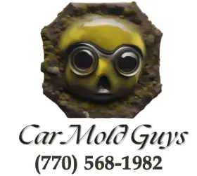 Car Mold Guys Offers Car Mold Remediation in Nashville, GA