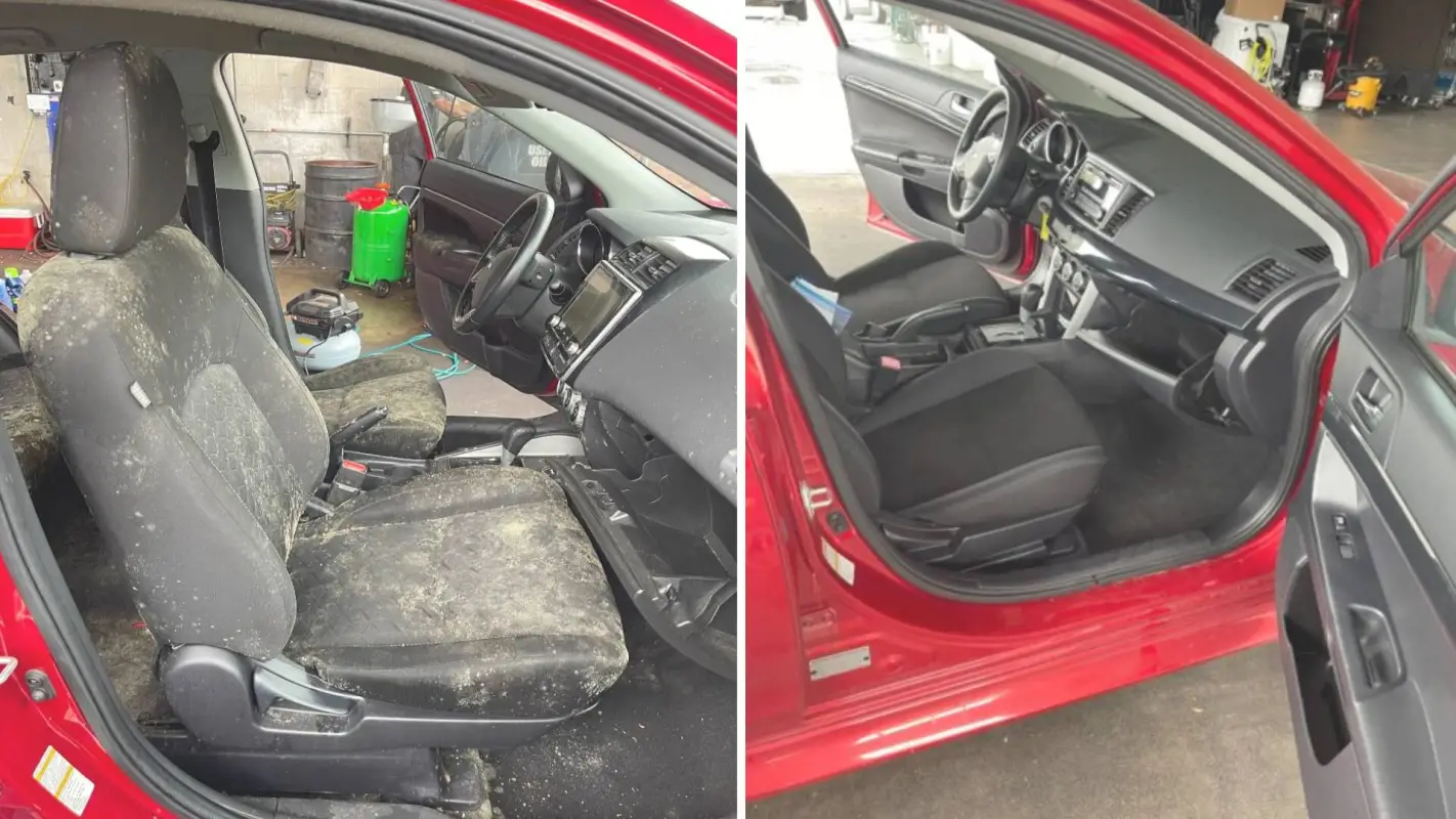 Car Mold Removal Services Nashville TN