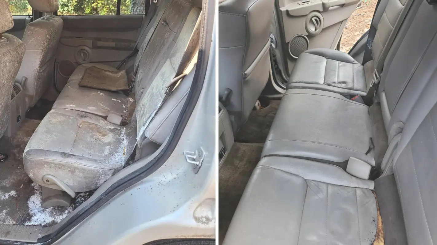 Car Mold Odor Removal Charlotte NC