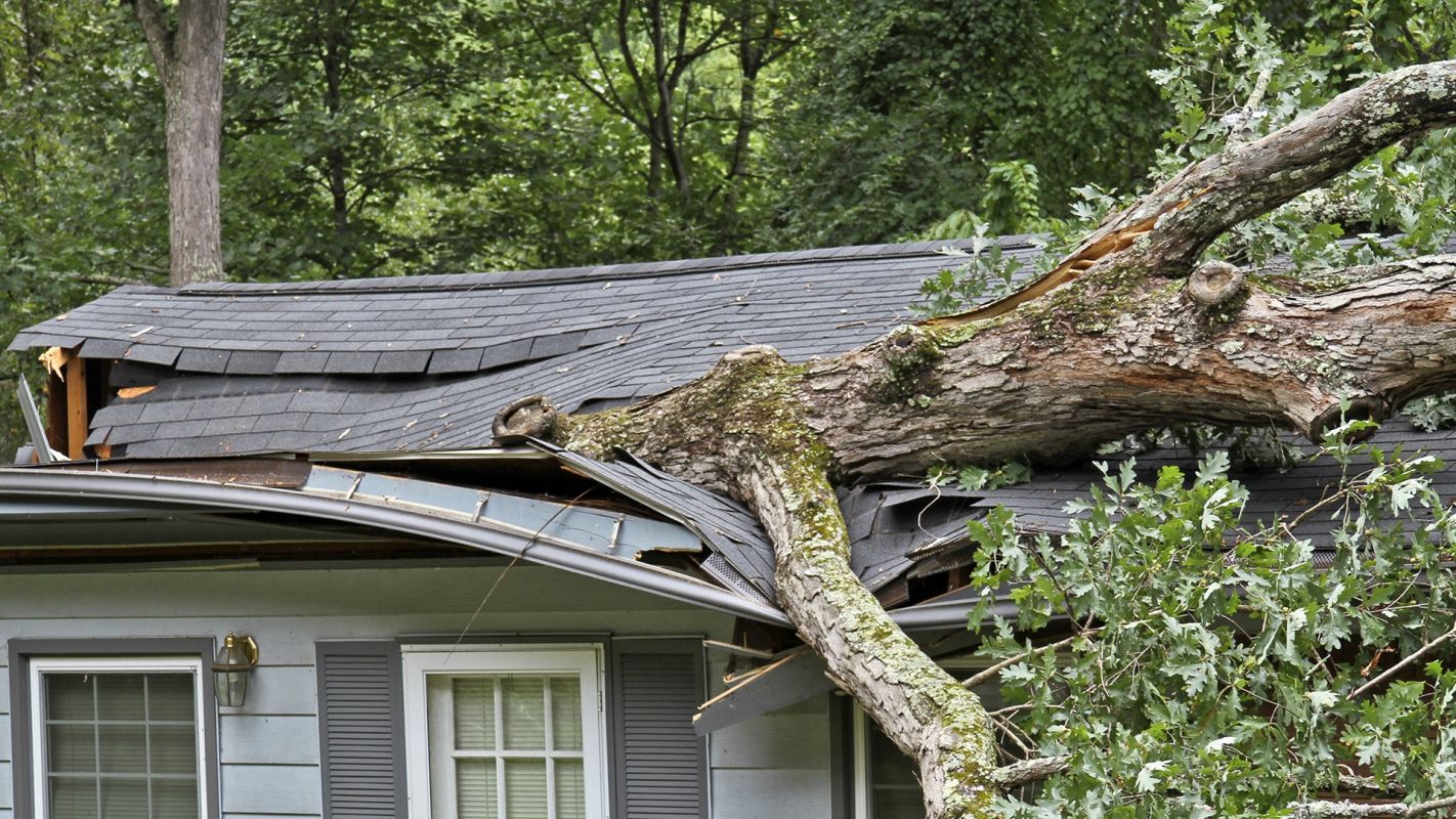 Roofing Insurance Claim Hyattsville MD