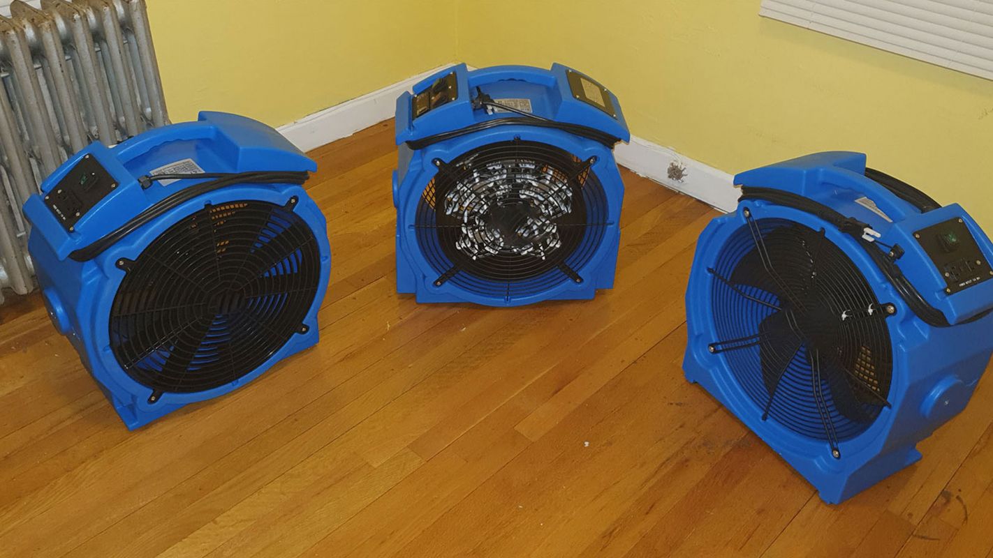 Bed Bug Heater Rentals Atlanta GA