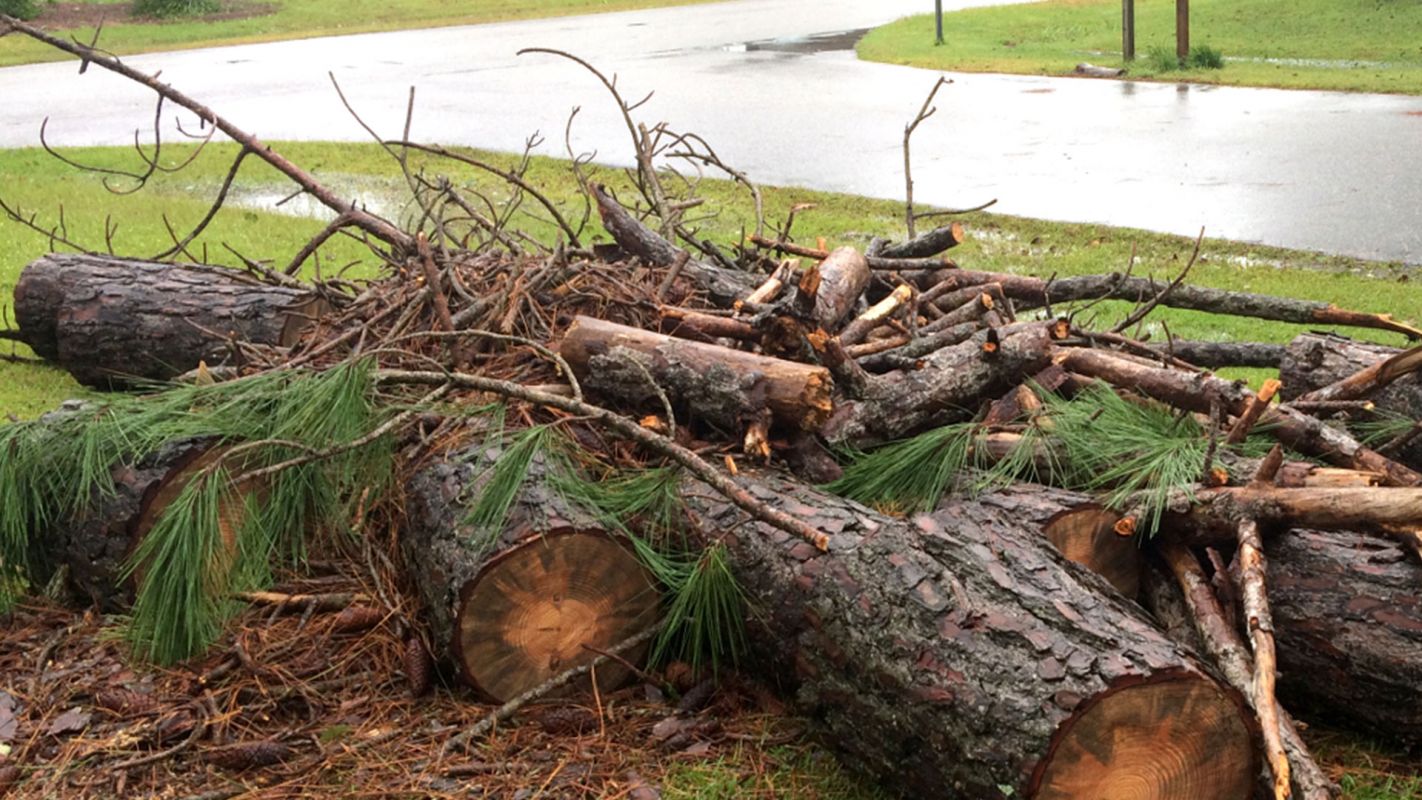 Tree Junk Removal Rose Hill KS