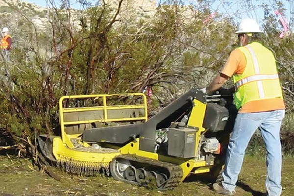 Brush Clearance Services