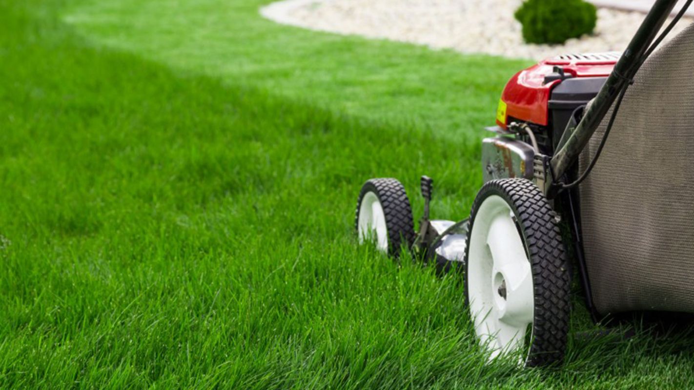 Lawn Care Services Point Loma CA