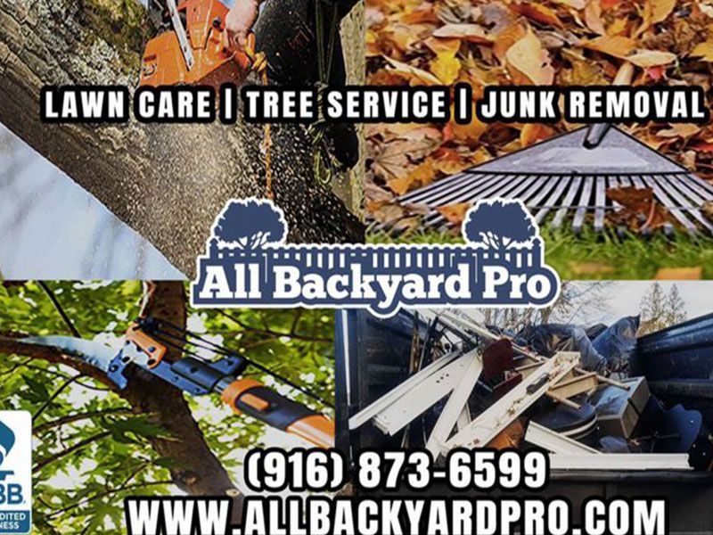 Tree Removal Services Sacramento CA
