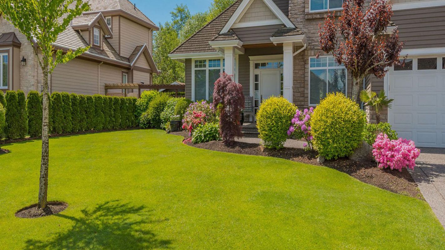 Front Yard Landscaping Services Roseville CA