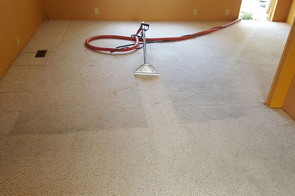 Carpet Stain cleaning services