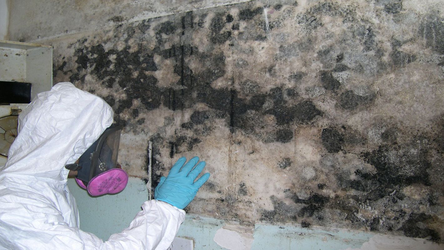House Mold Inspection Services Fayetteville NC