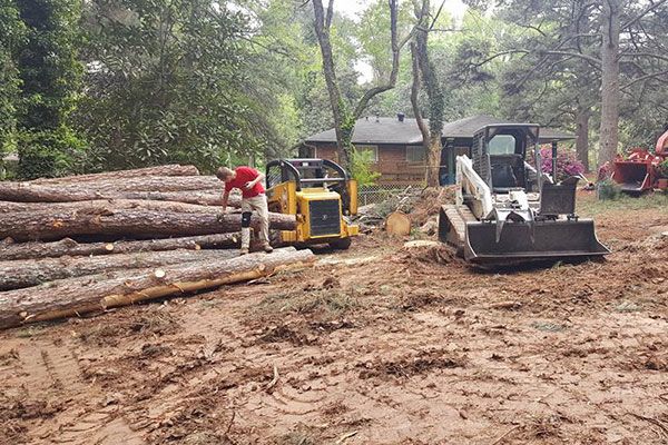 Residential And Commercial Tree Removal