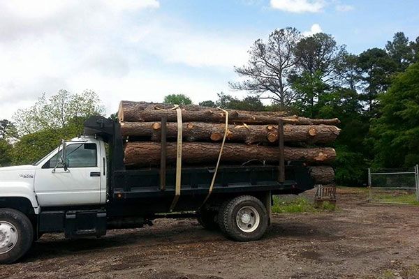 Tree Removal Services Cost