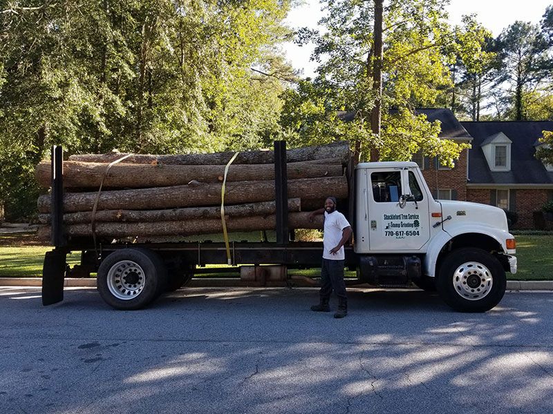 Why Do You Need Shackleford Tree Service?