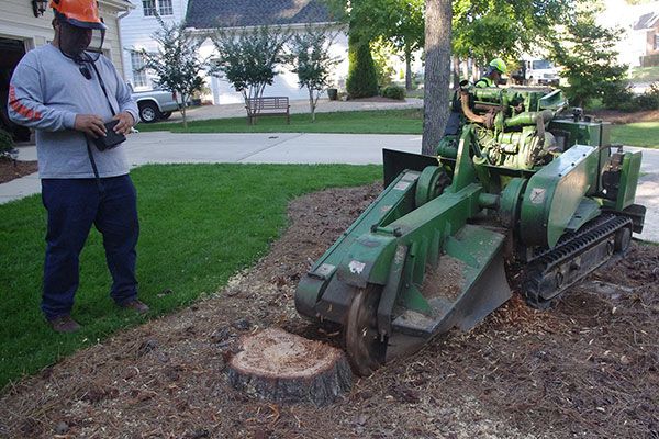 Stump Grinding Services