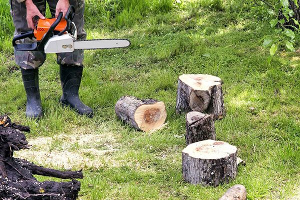 Commercial And Residential Stump Removal
