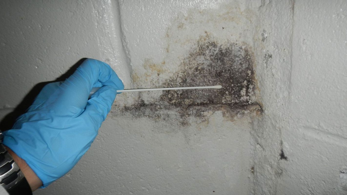 Mold Exposure Testing Somerville MA
