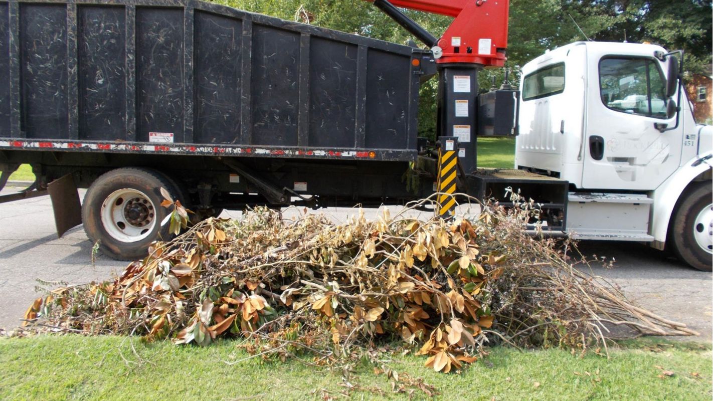 Yard Debris Removal Baltimore MD