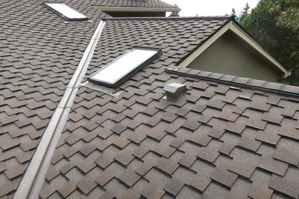 Shingle Roofing Cost