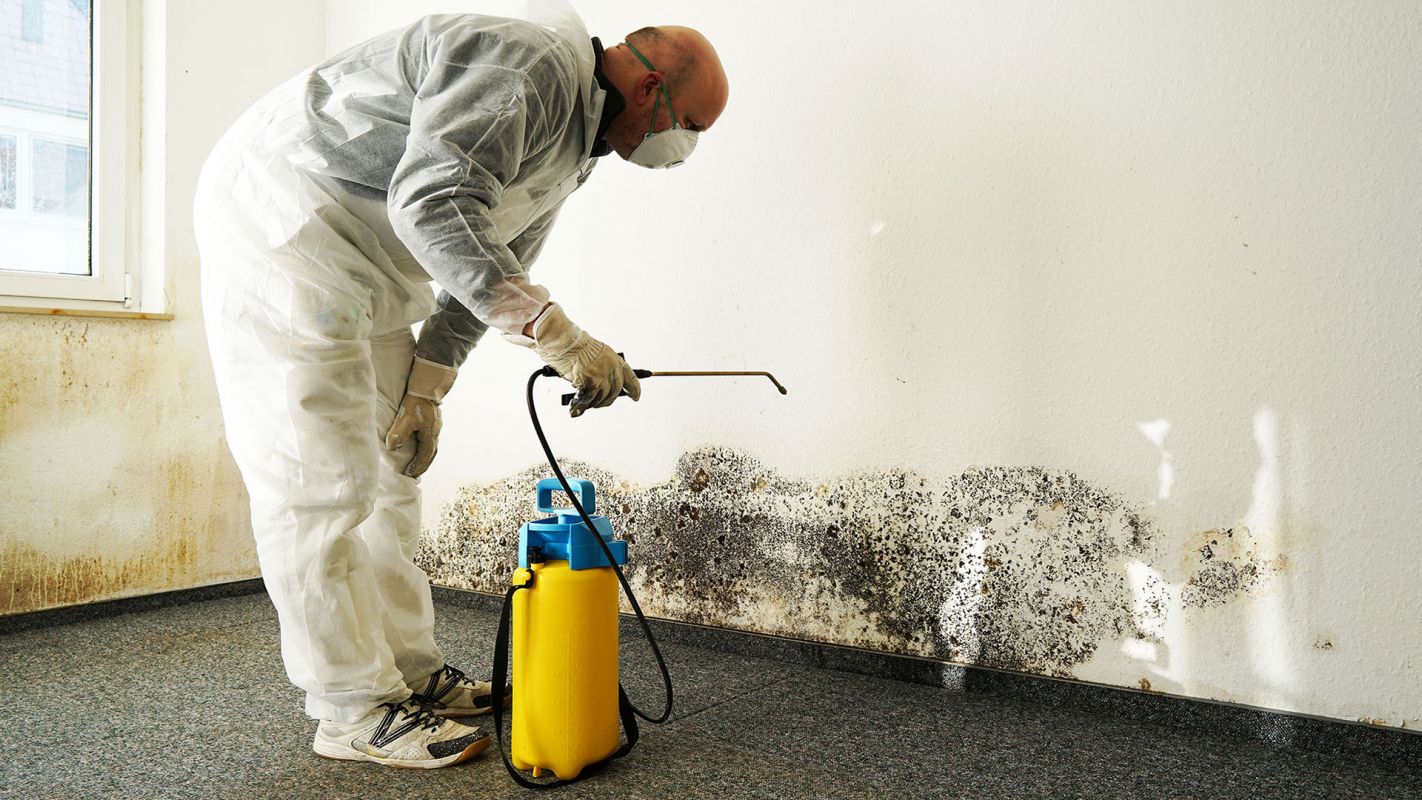 Mold Remediation Services Antioch CA