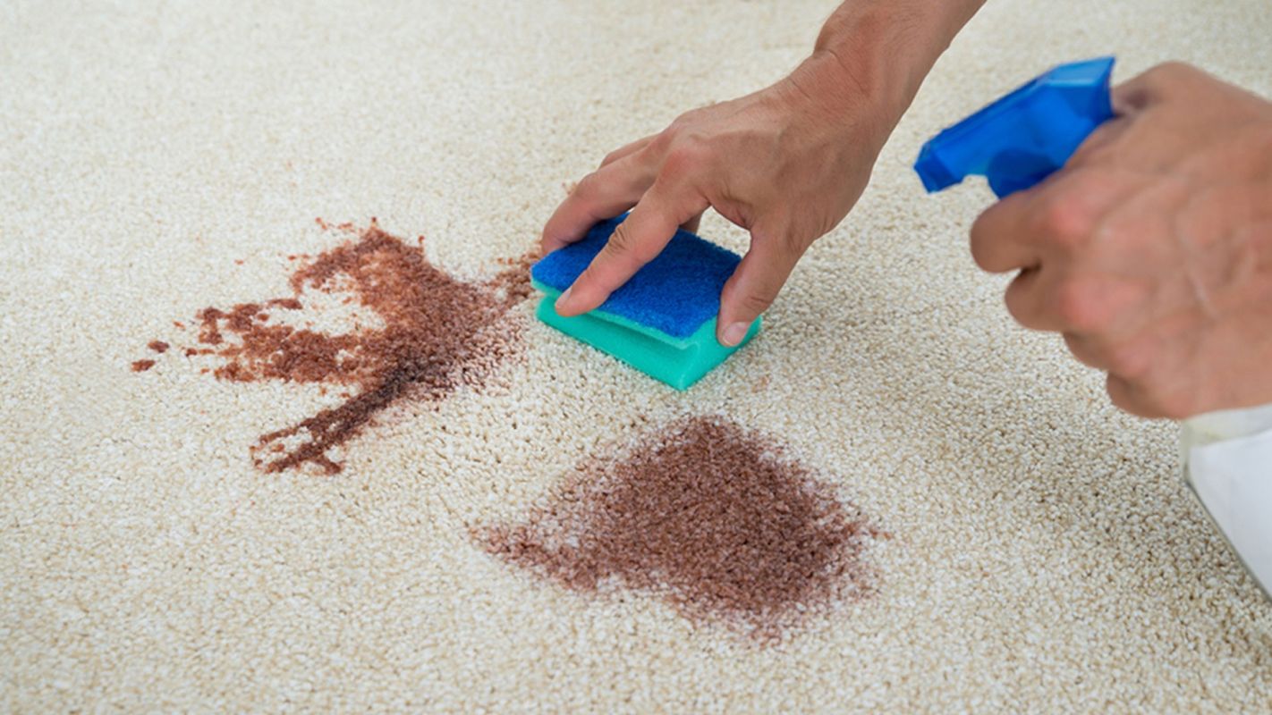 Stain Removal Services Charlotte NC